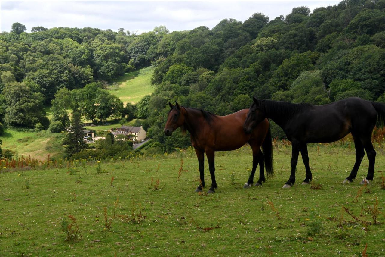 Ty Twt - Complete Holiday Home Llandysul Exterior photo